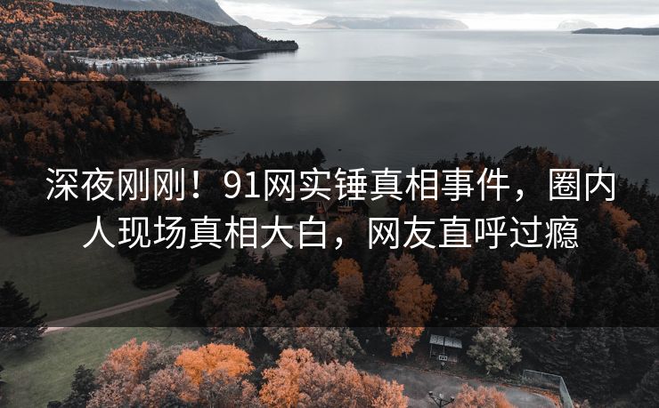 深夜刚刚！91网实锤真相事件，圈内人现场真相大白，网友直呼过瘾