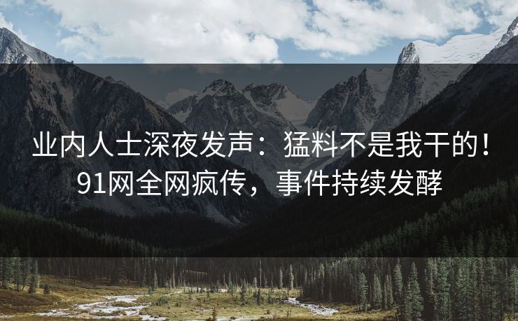 业内人士深夜发声：猛料不是我干的！91网全网疯传，事件持续发酵