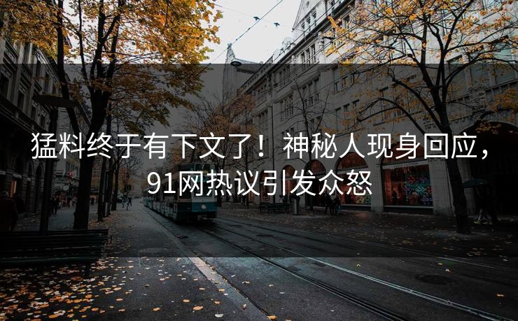 猛料终于有下文了！神秘人现身回应，91网热议引发众怒