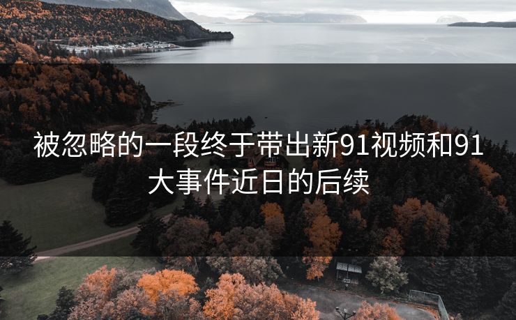 被忽略的一段终于带出新91视频和91大事件近日的后续